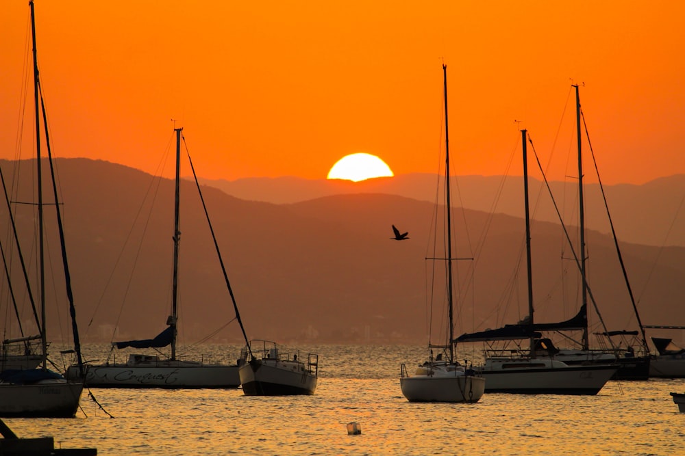 white sail boat on sea during sunset