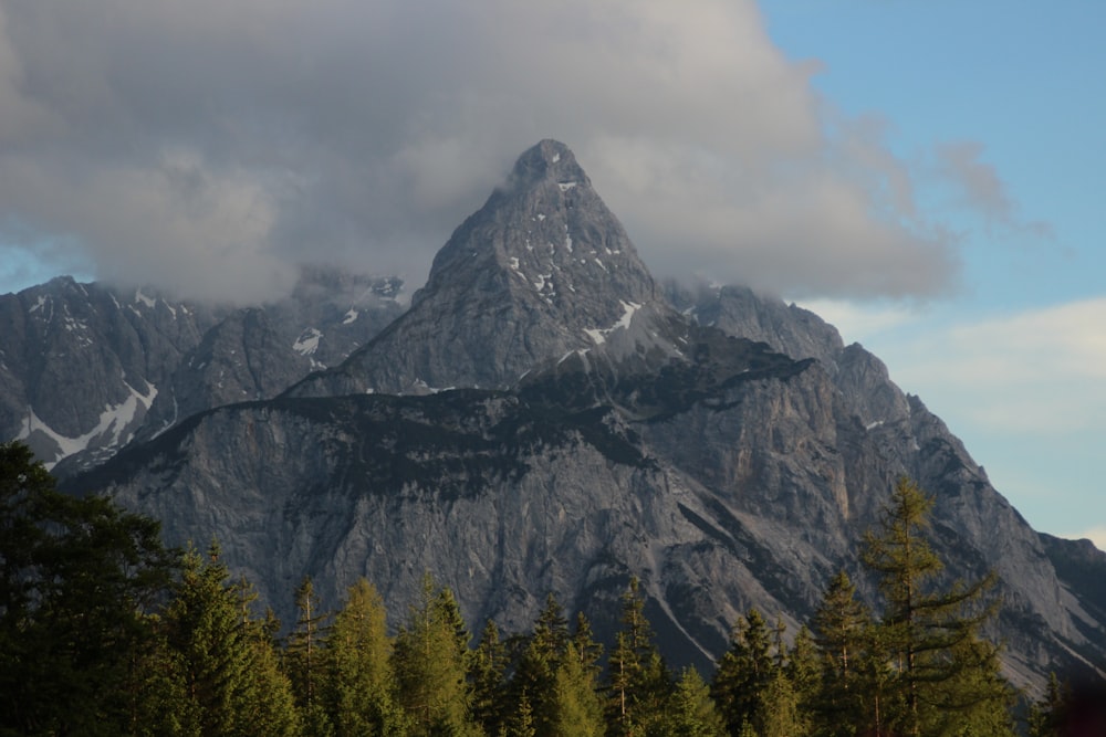 green trees near mountain under cloudy sky during daytime