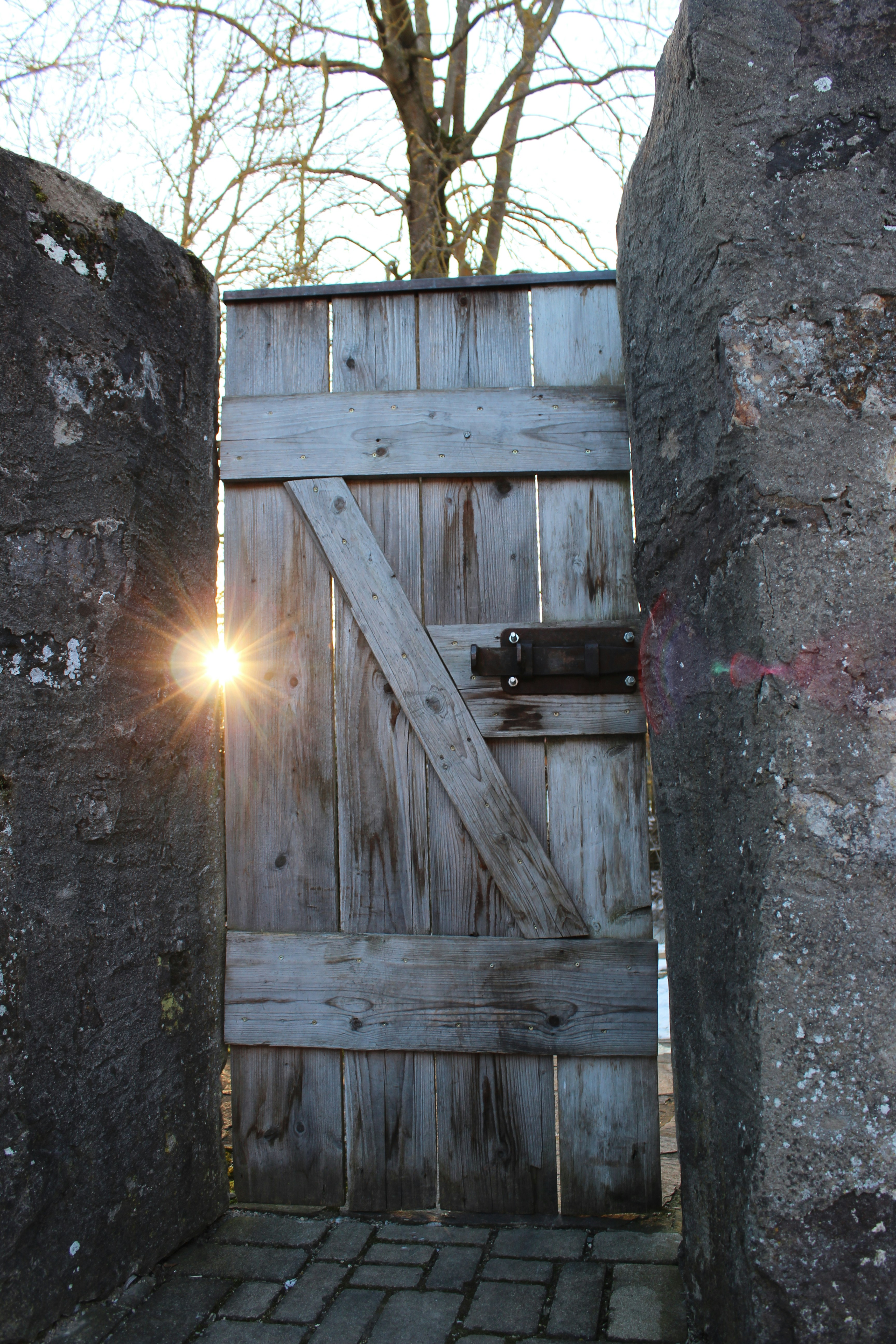 Photo by spongolatius