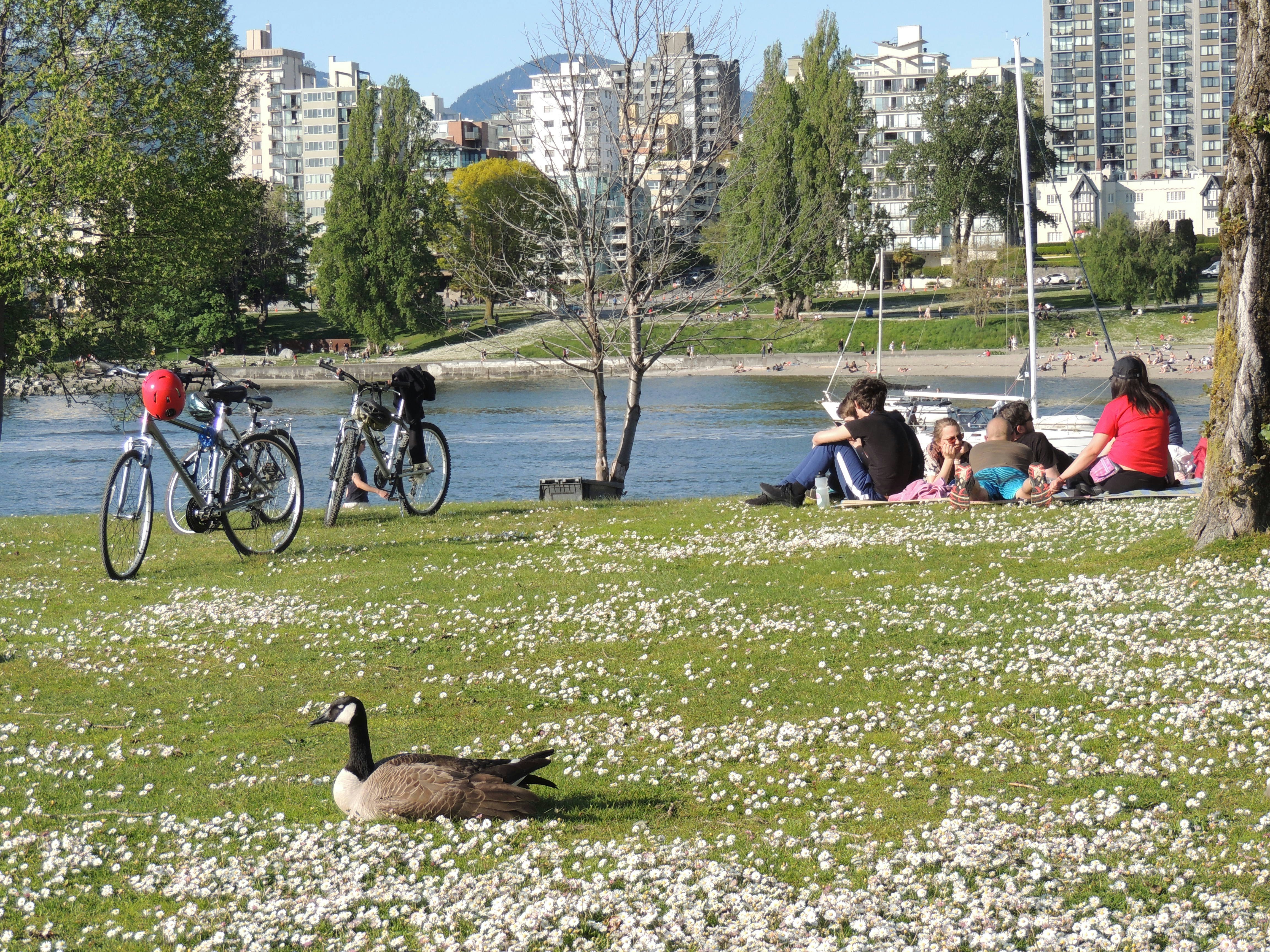 Park Site on Shaughnessy Street