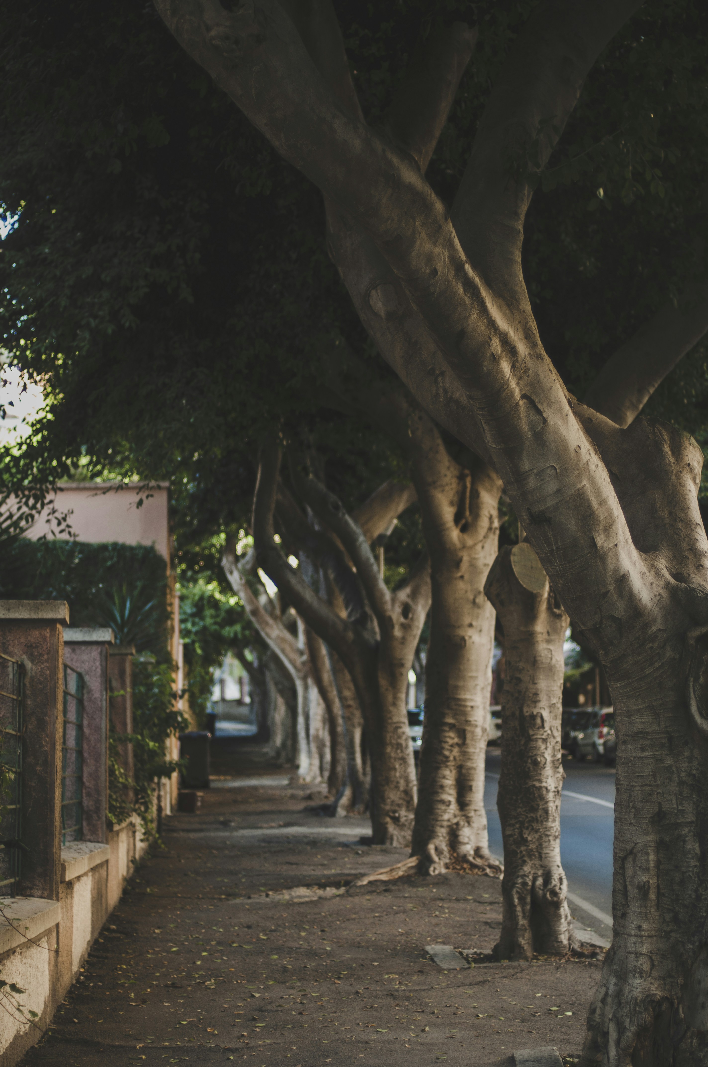 Photo by yuli_superson