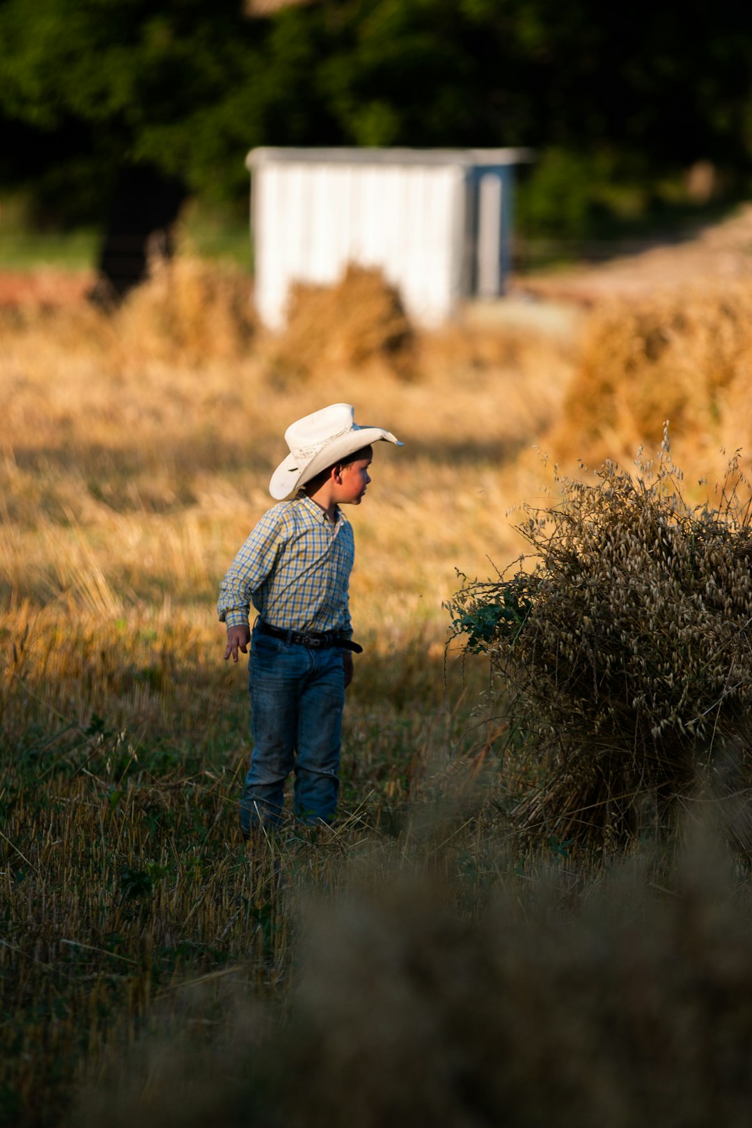 man in blue denim jeans wearing white cowboy hat standing on brown grass field during daytime