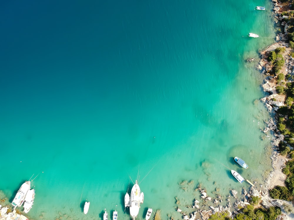 aerial view of white and blue boats on sea during daytime