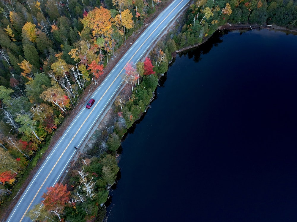 木々の間の道路の空中写真