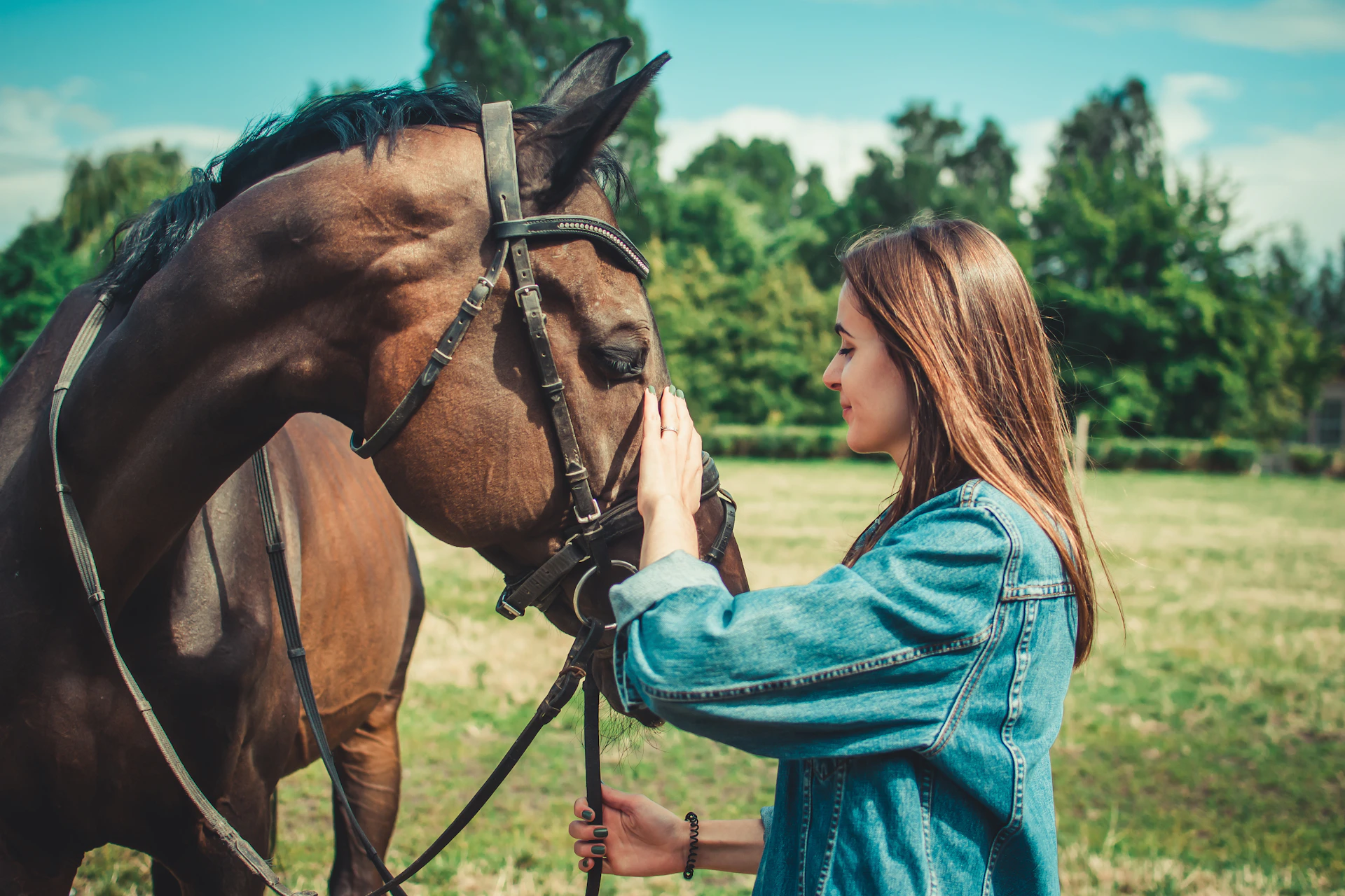 woman in blue denim jacket standing beside brown horse during daytime