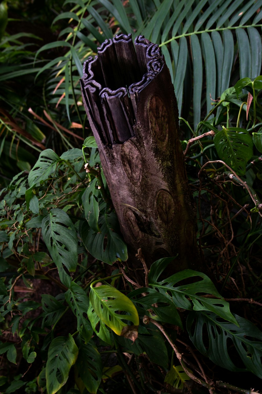 brown tree trunk with green leaves