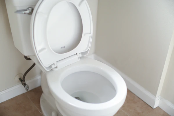 WC toilettes
