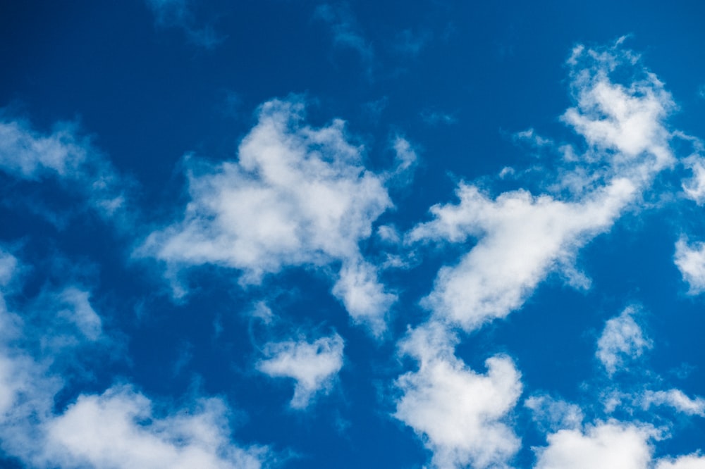 white clouds and blue sky