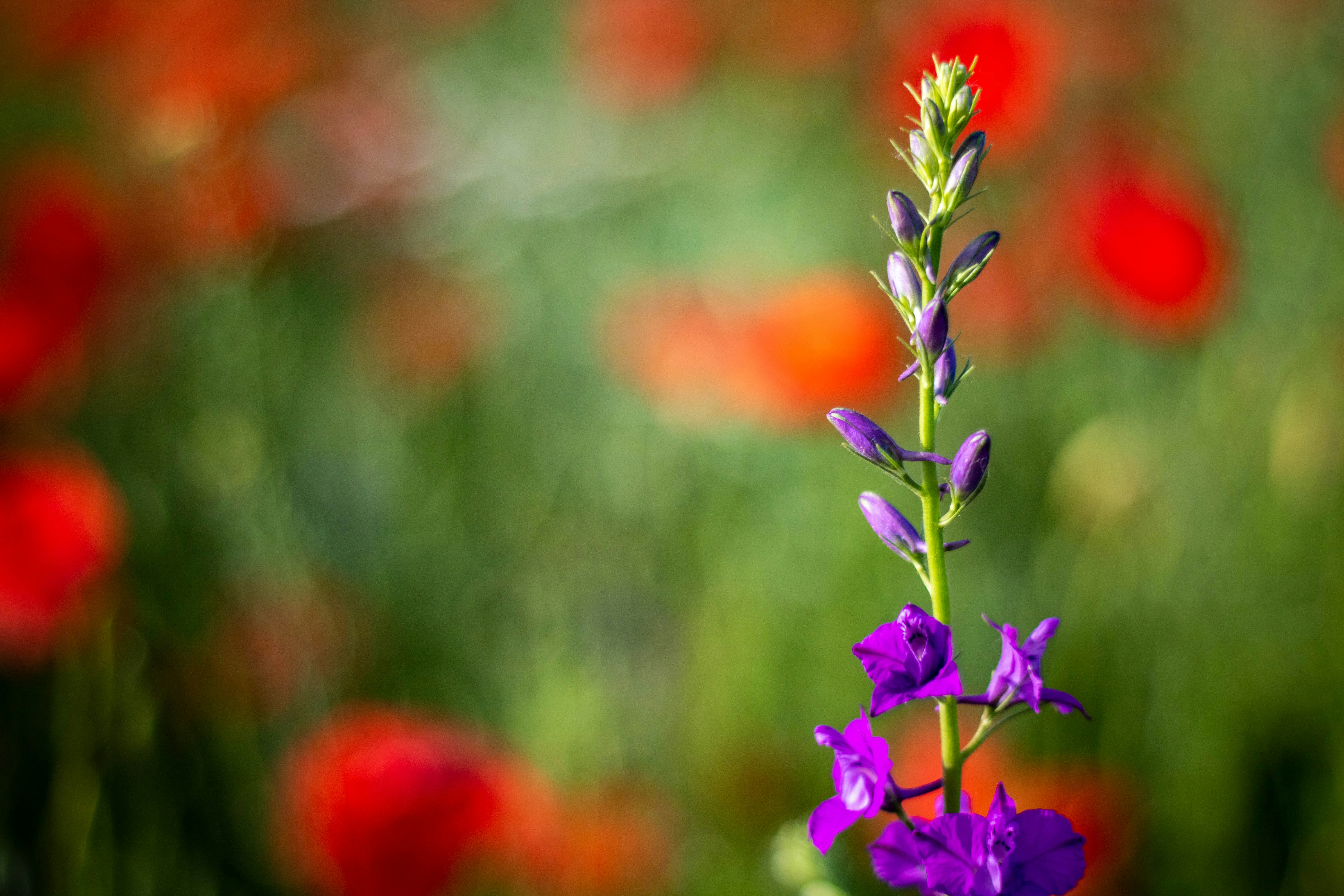 Photo by ovidiugruescu