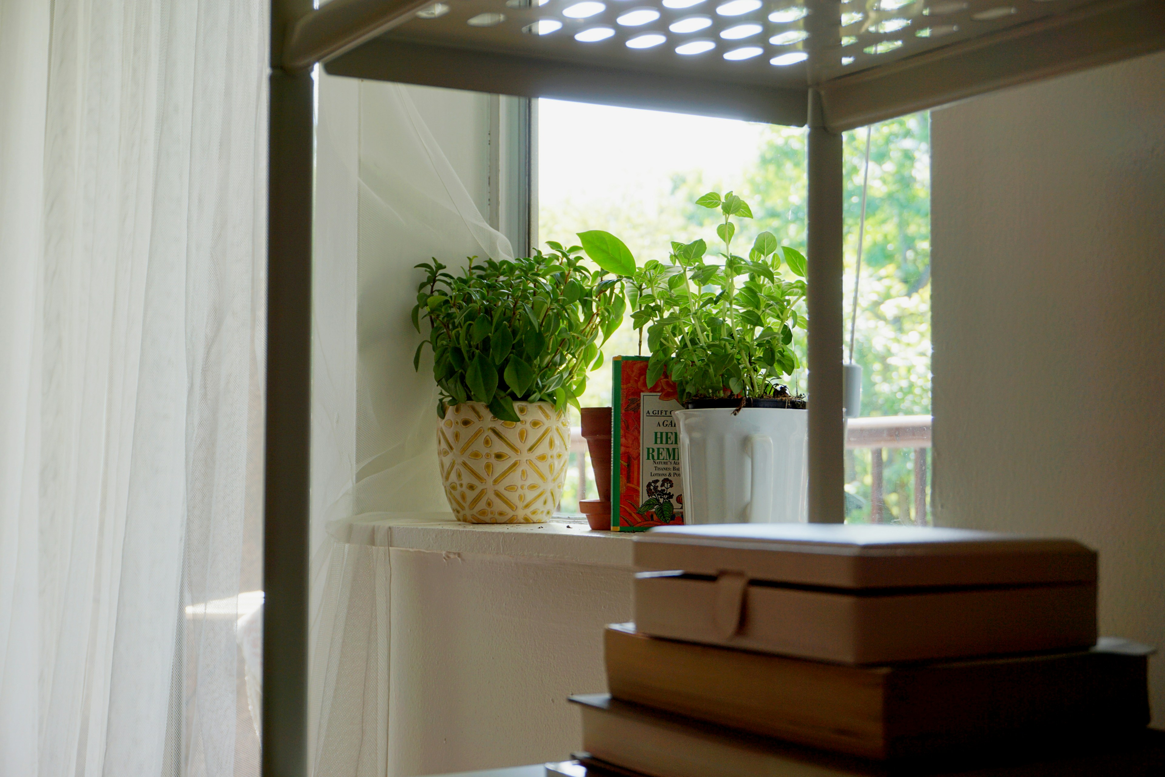 Photo by danicastradecke