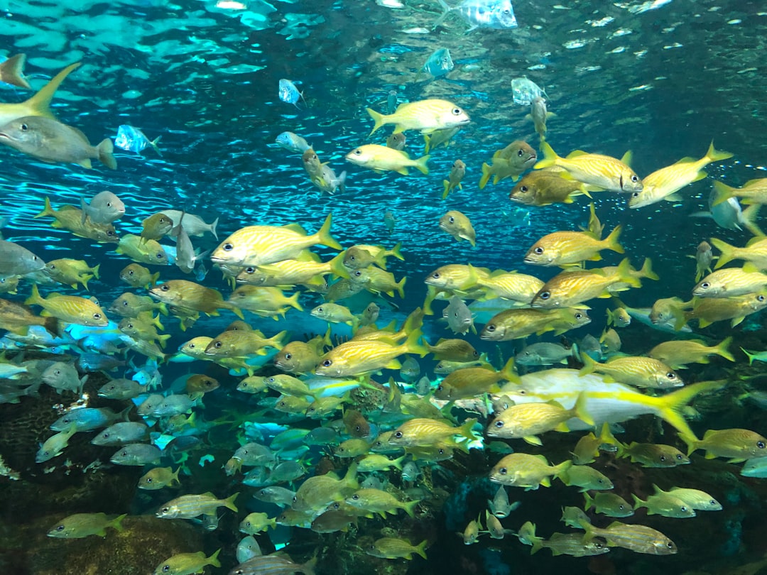 Underwater photo spot 280 Bremner Blvd Toronto Zoo