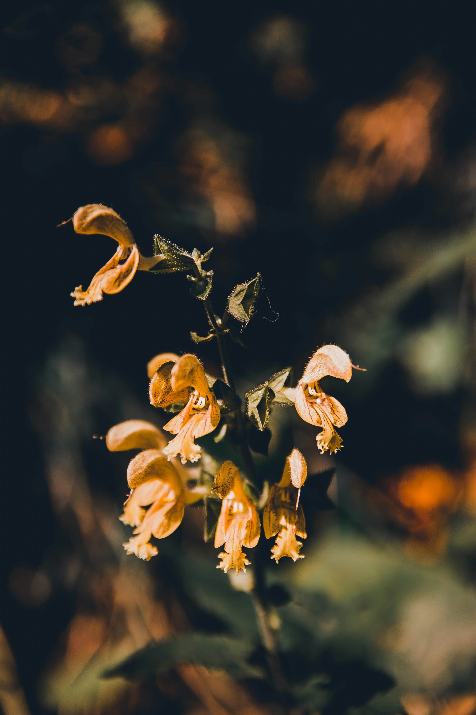 Photo by anna_safronova