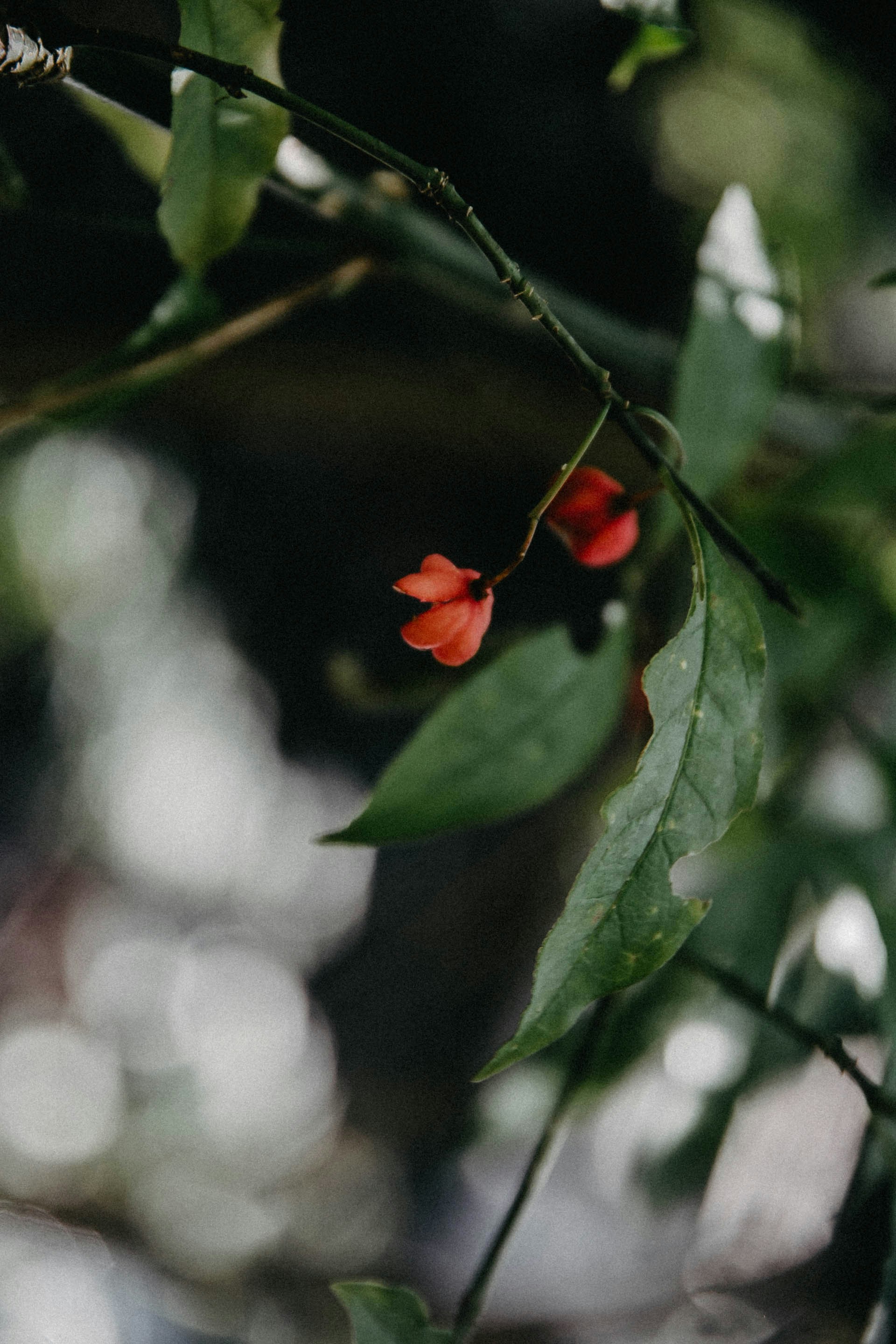 Photo by anna_safronova