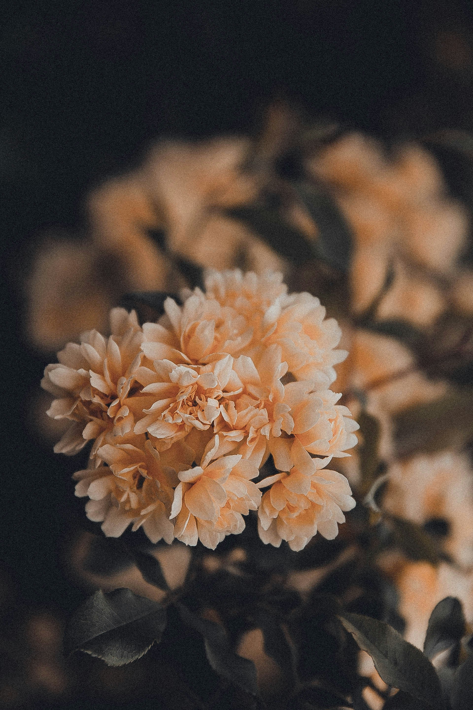 Photo by anna_safronova