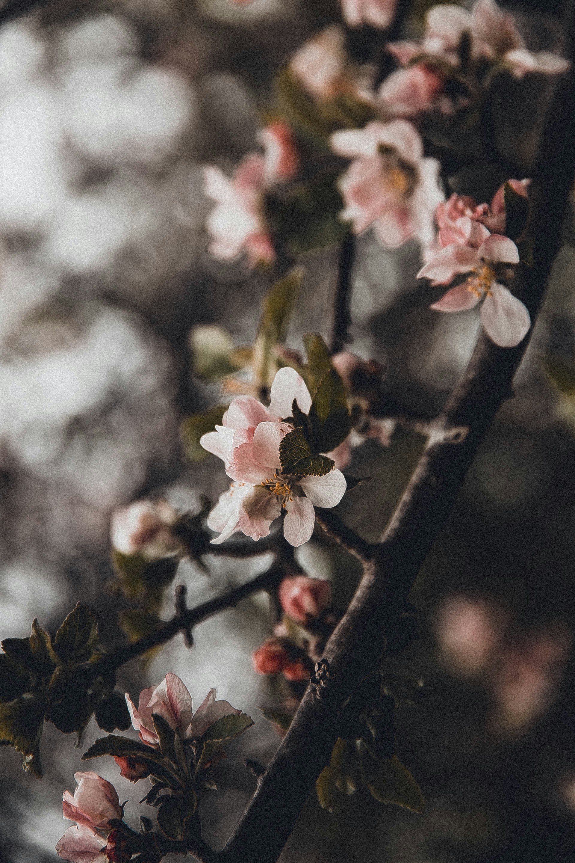 Photo by anna_safronova