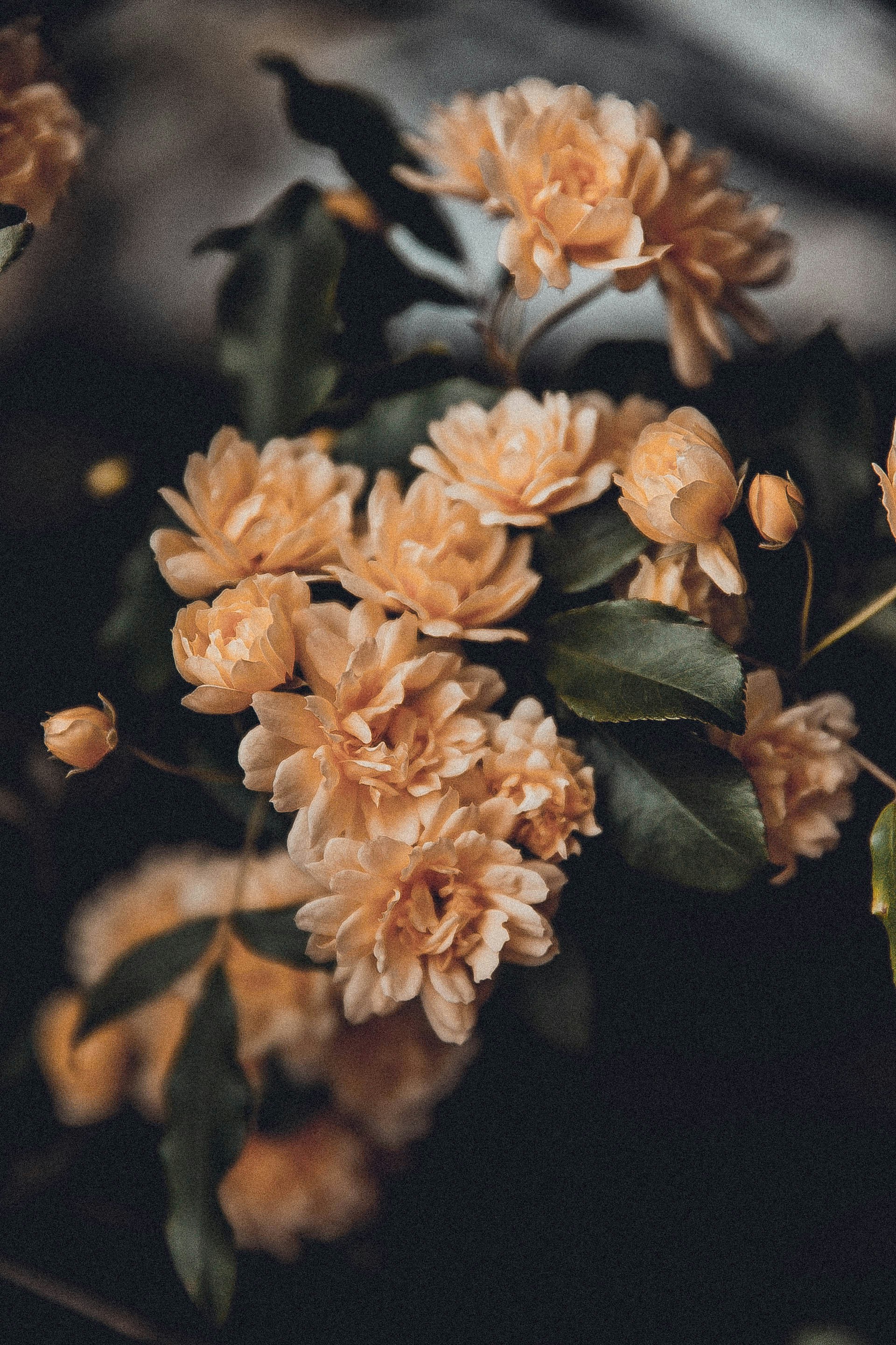 Photo by anna_safronova