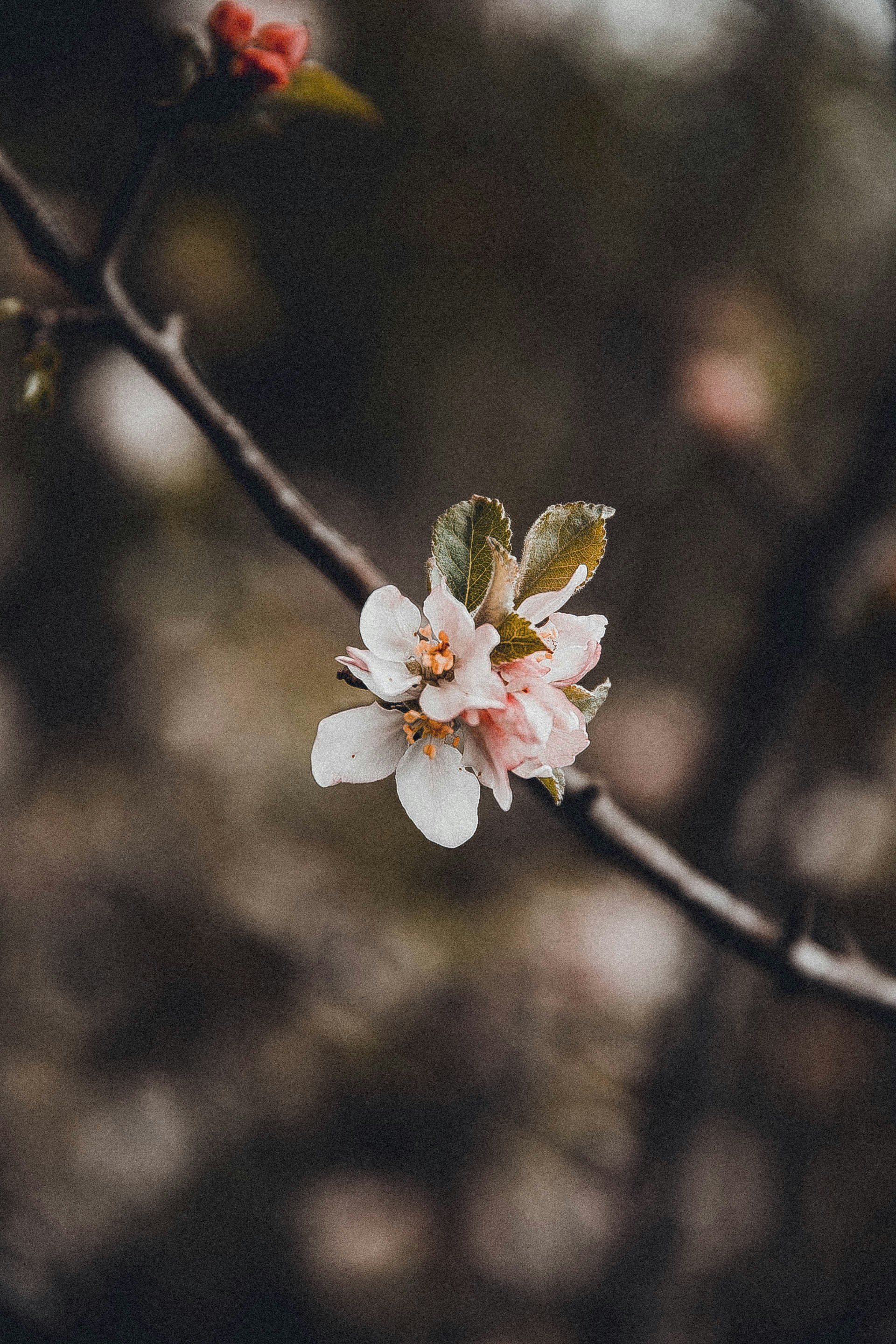 Photo by anna_safronova