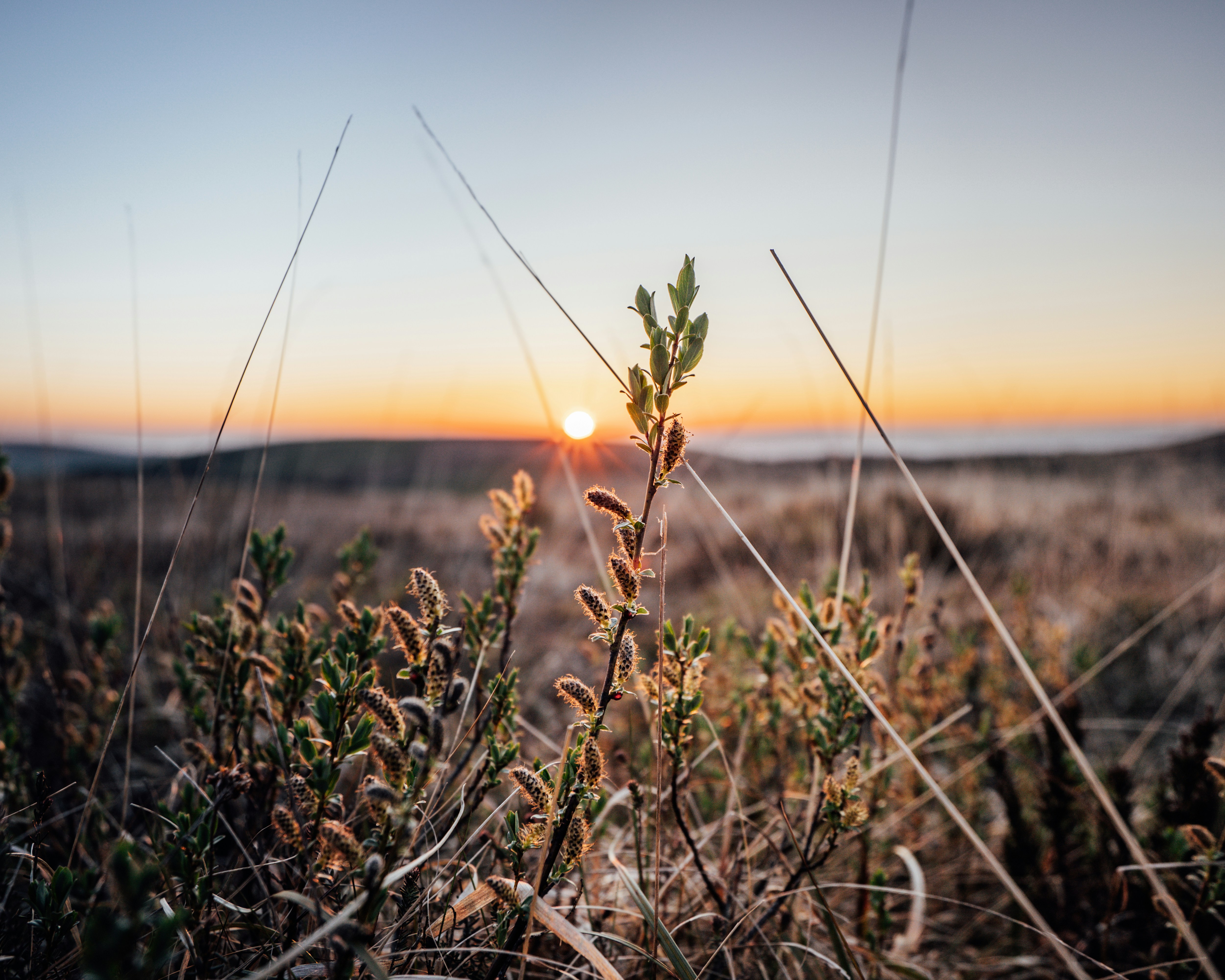 Photo by rorymck94