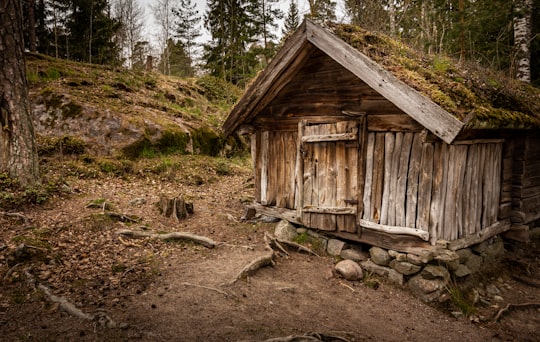 brown wooden house near green trees during daytime in Seurasaari Finland