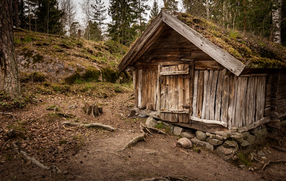 brown wooden house near green trees during daytime