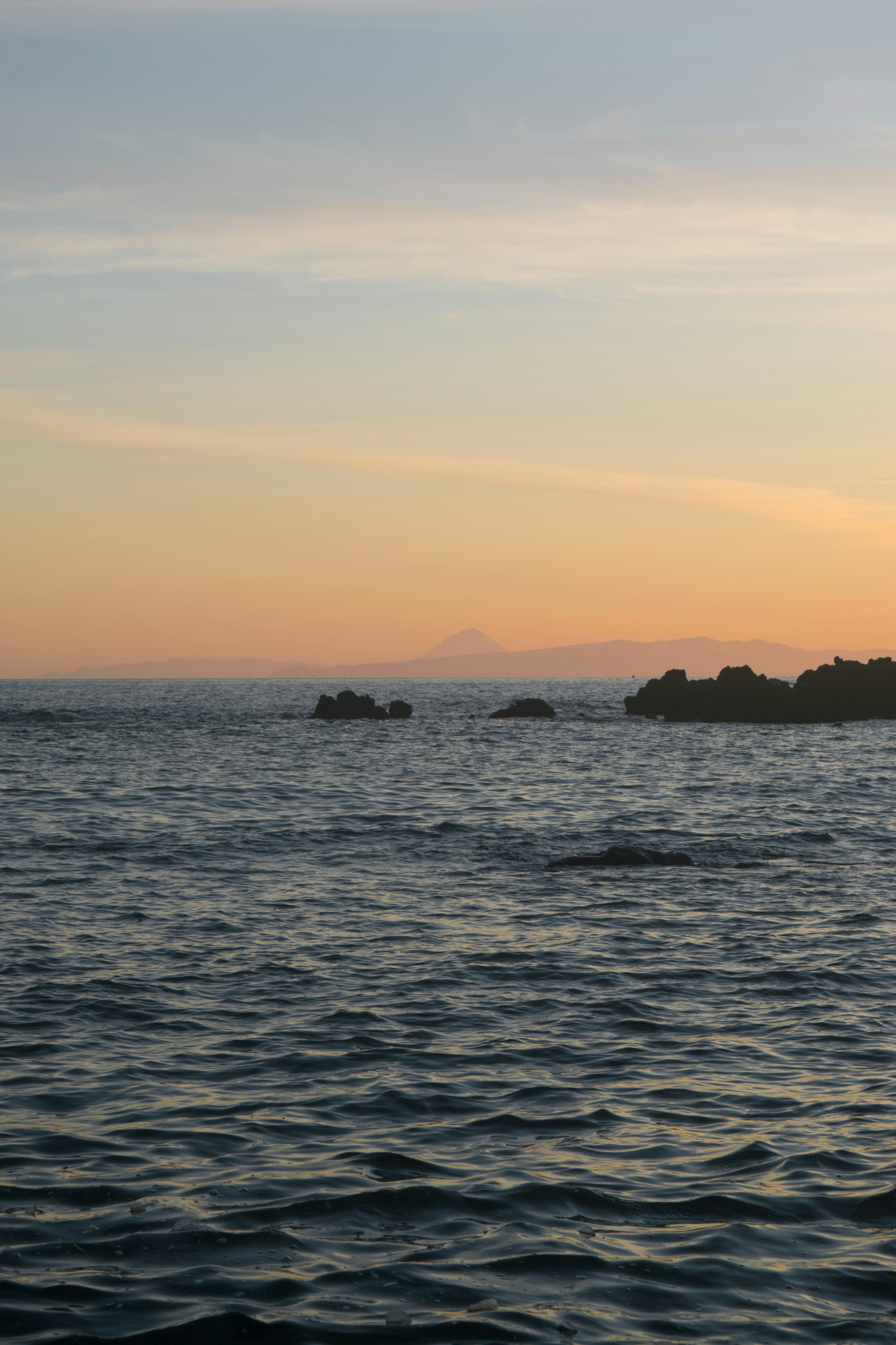 Photo by ricardobettencourt