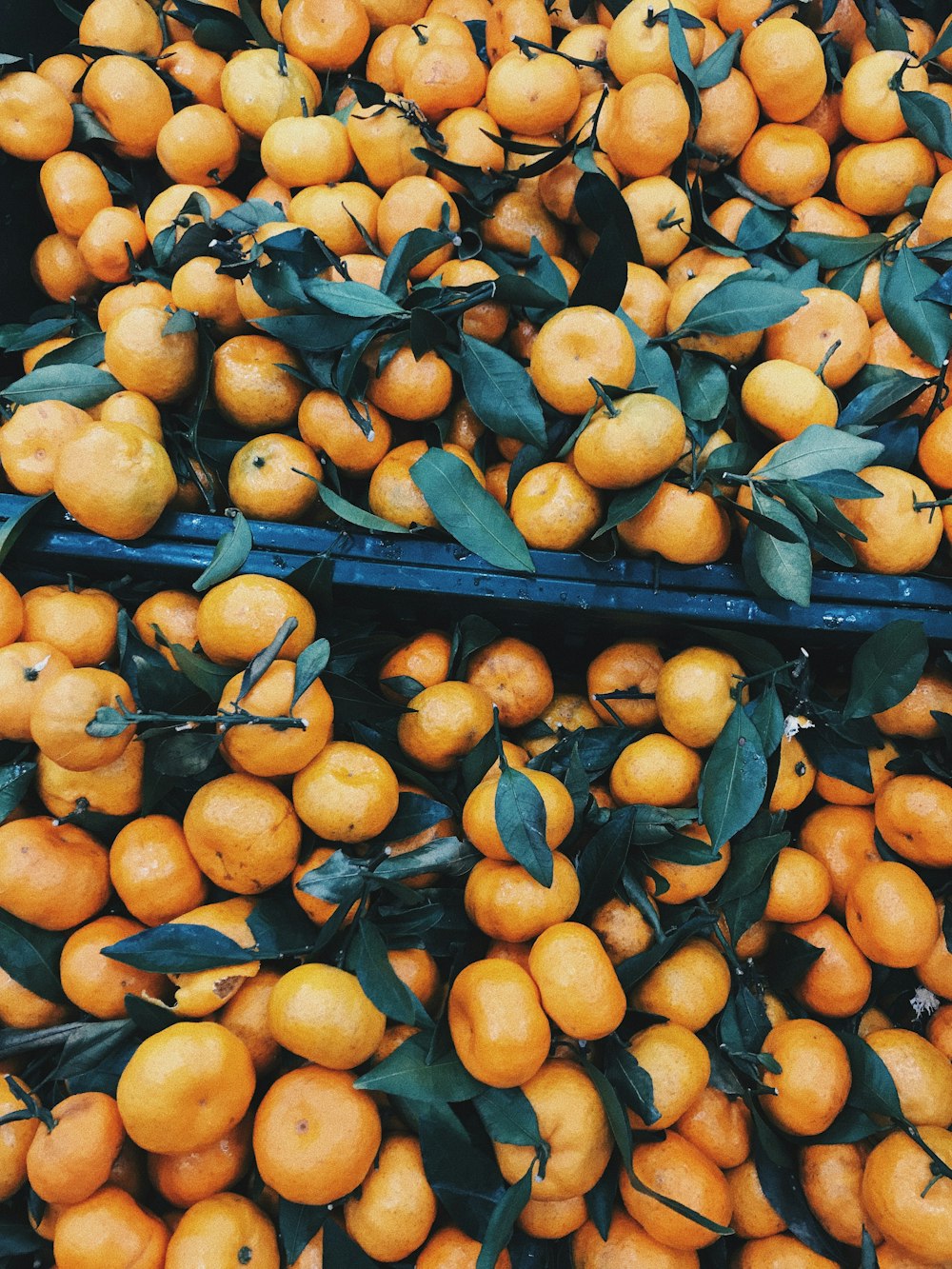 orange fruit on black metal rack