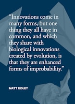 A quote is presented in white text on a dark blue background. The quote speaks about the nature of innovations. Surrounding the text are abstract shapes resembling crumpled paper or paper airplanes.