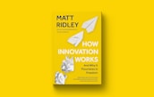 A yellow book cover with the title 'How Innovation Works' by Matt Ridley, featuring paper airplanes and crumpled paper graphics.