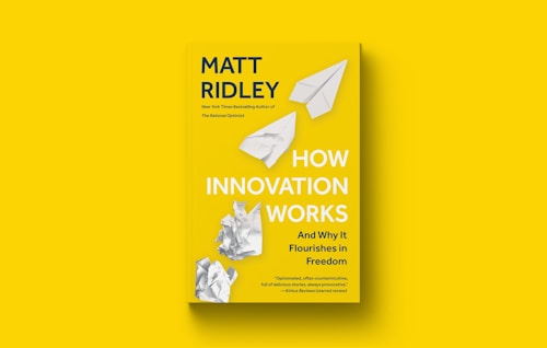 A yellow book cover with the title 'How Innovation Works' by Matt Ridley, featuring paper airplanes and crumpled paper graphics.