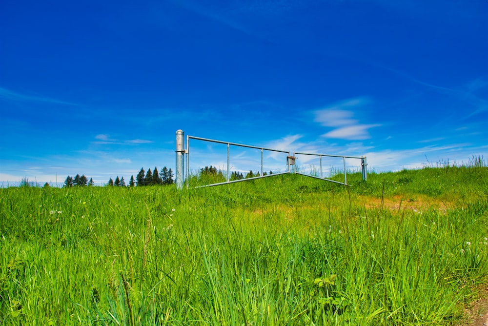 green grass field with gray metal fence under blue sky during daytime
