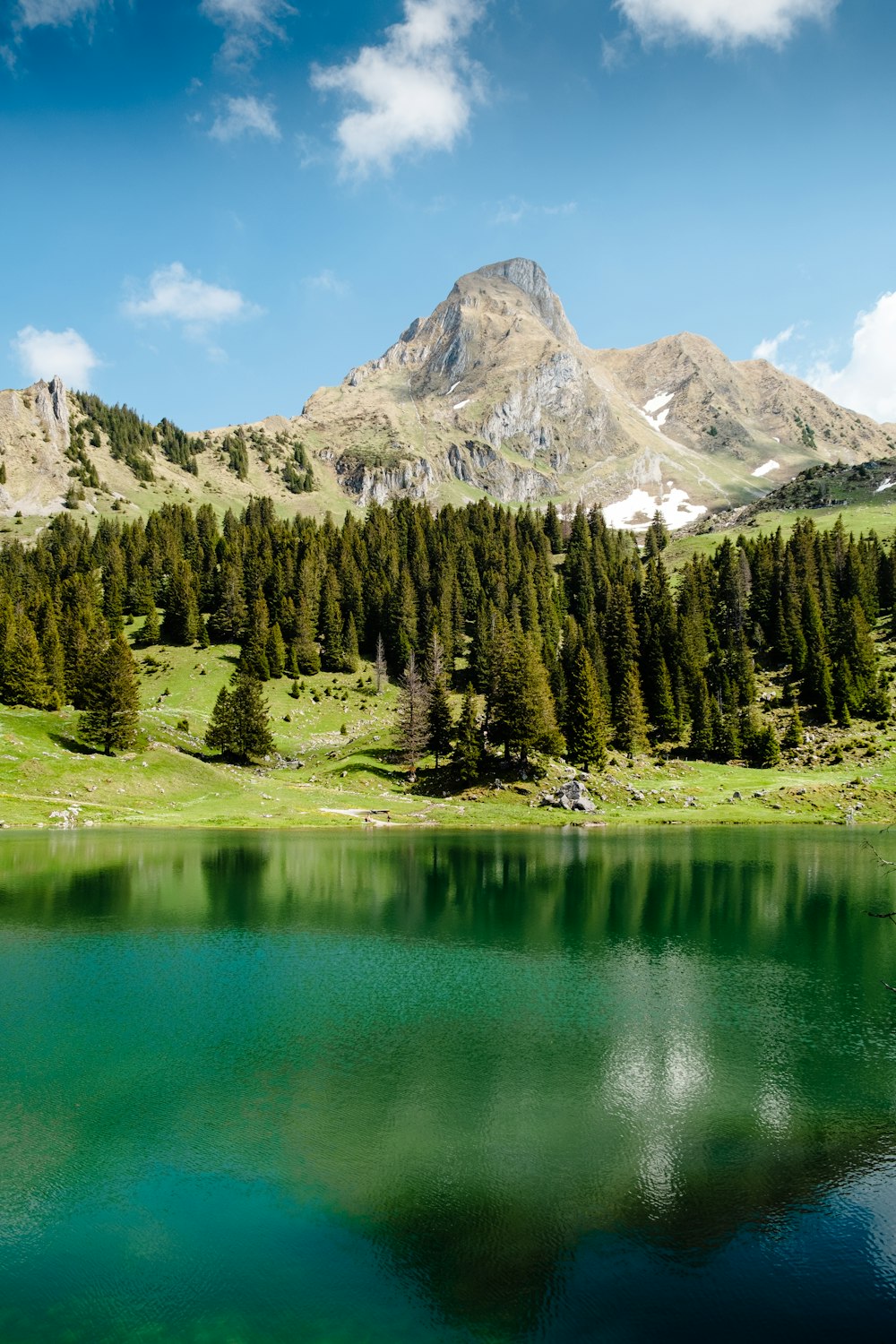 green pine trees near lake and mountain range