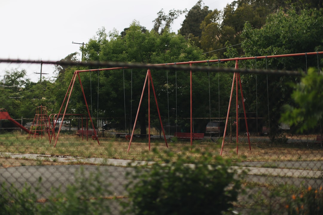 red and black swing near green trees during daytime