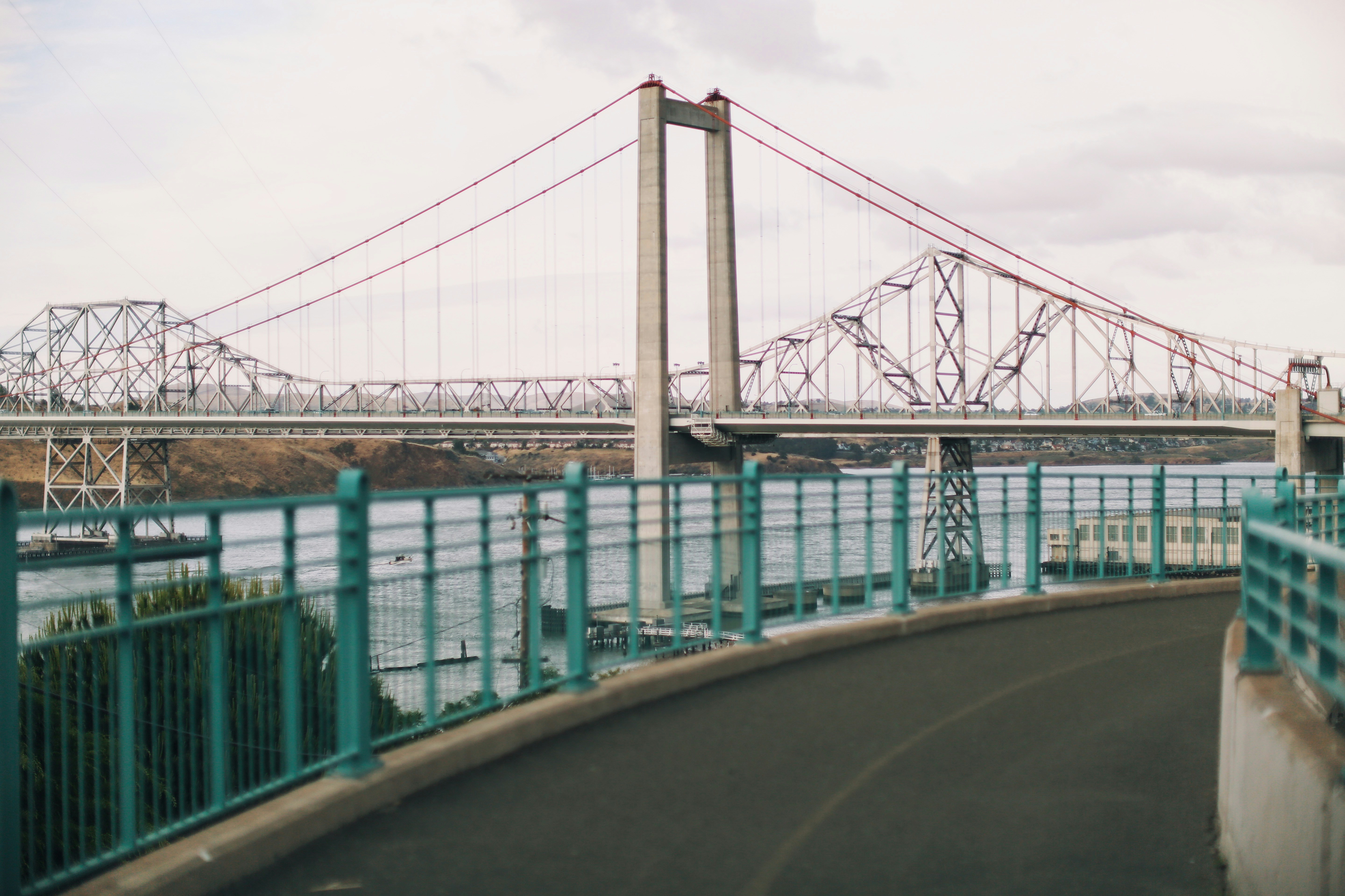 Photo by giorgiotrovato