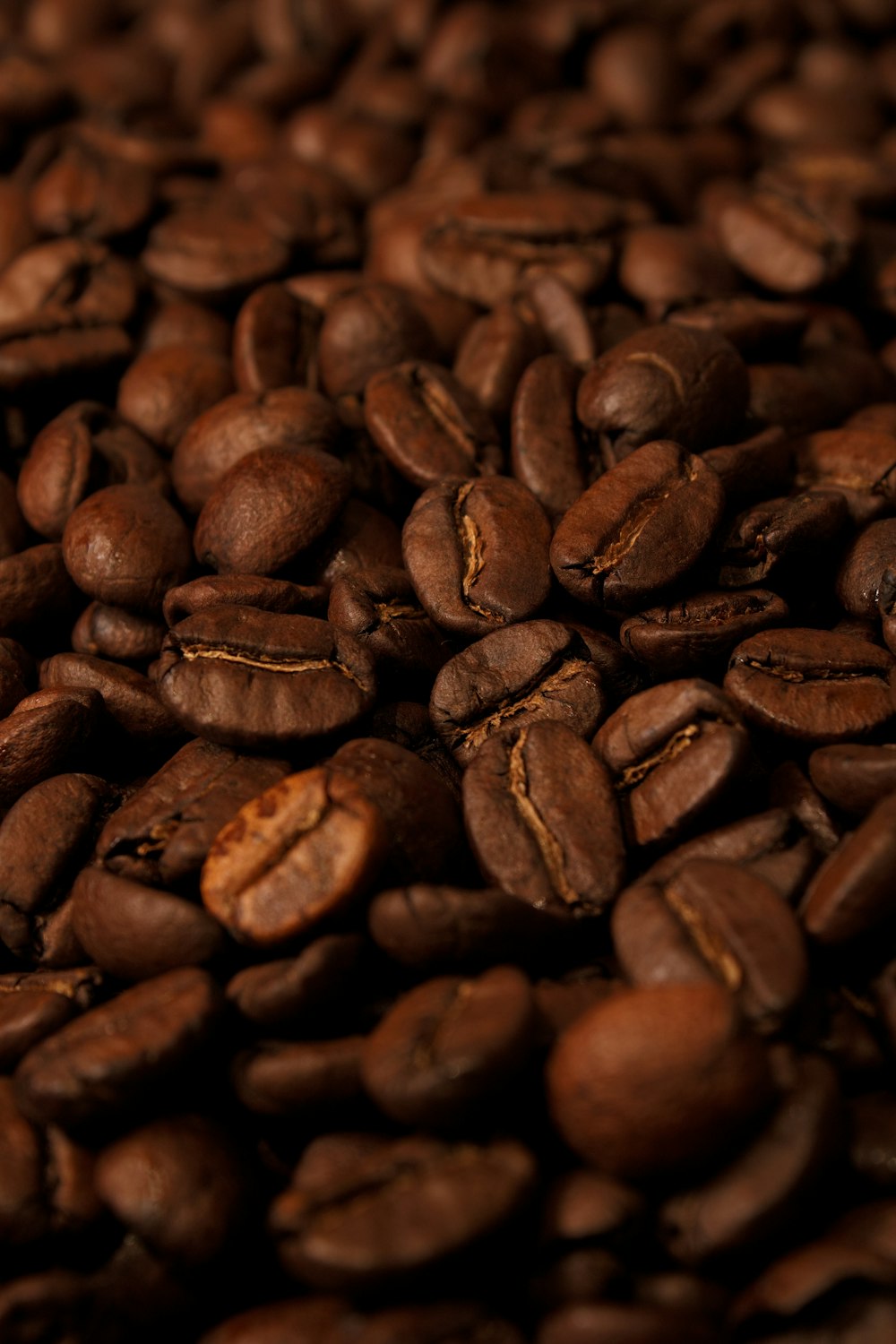 接写の茶色のコーヒー豆