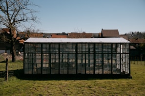 white concrete building near bare tree during daytime