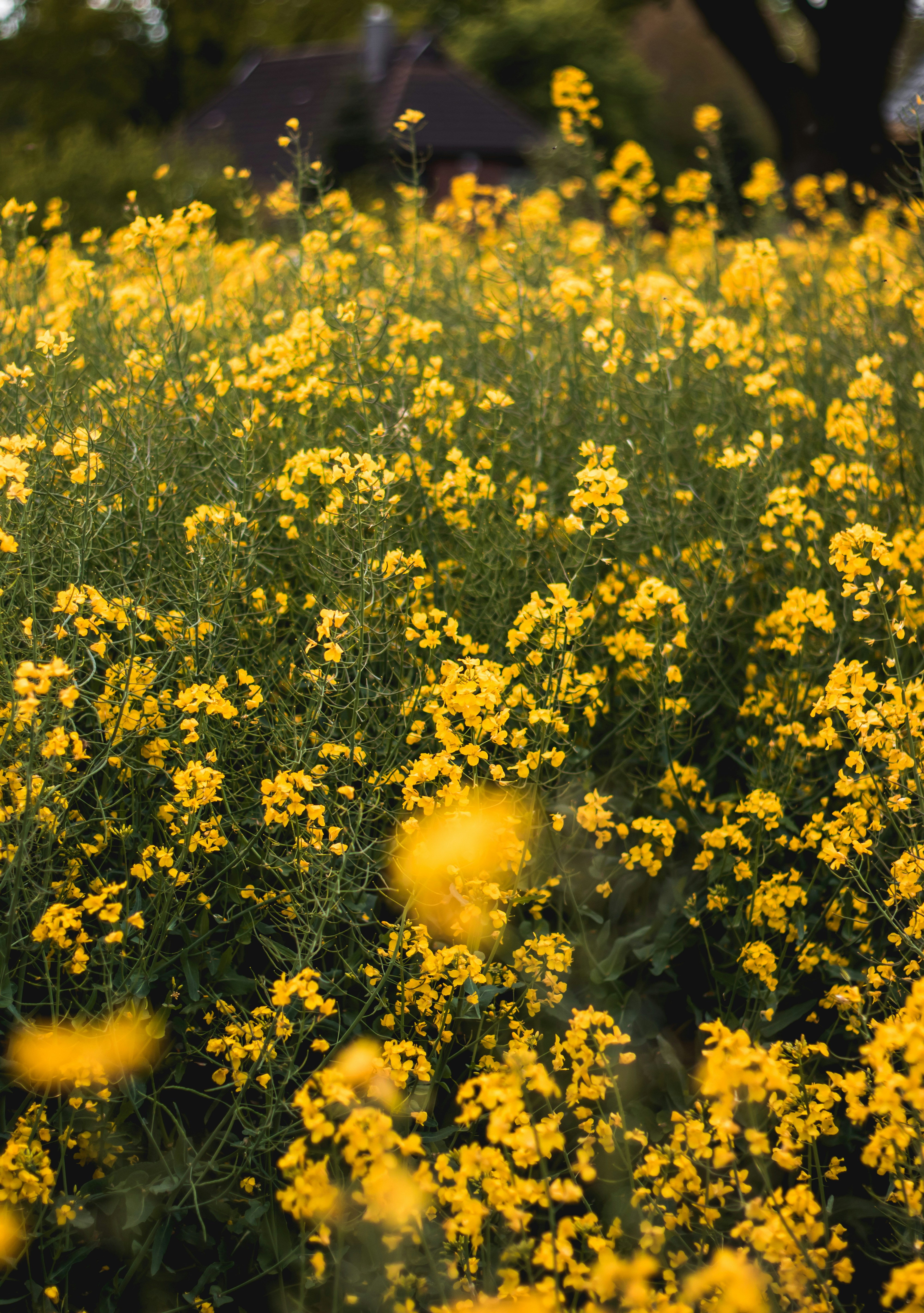 Photo by einfachlaurenz