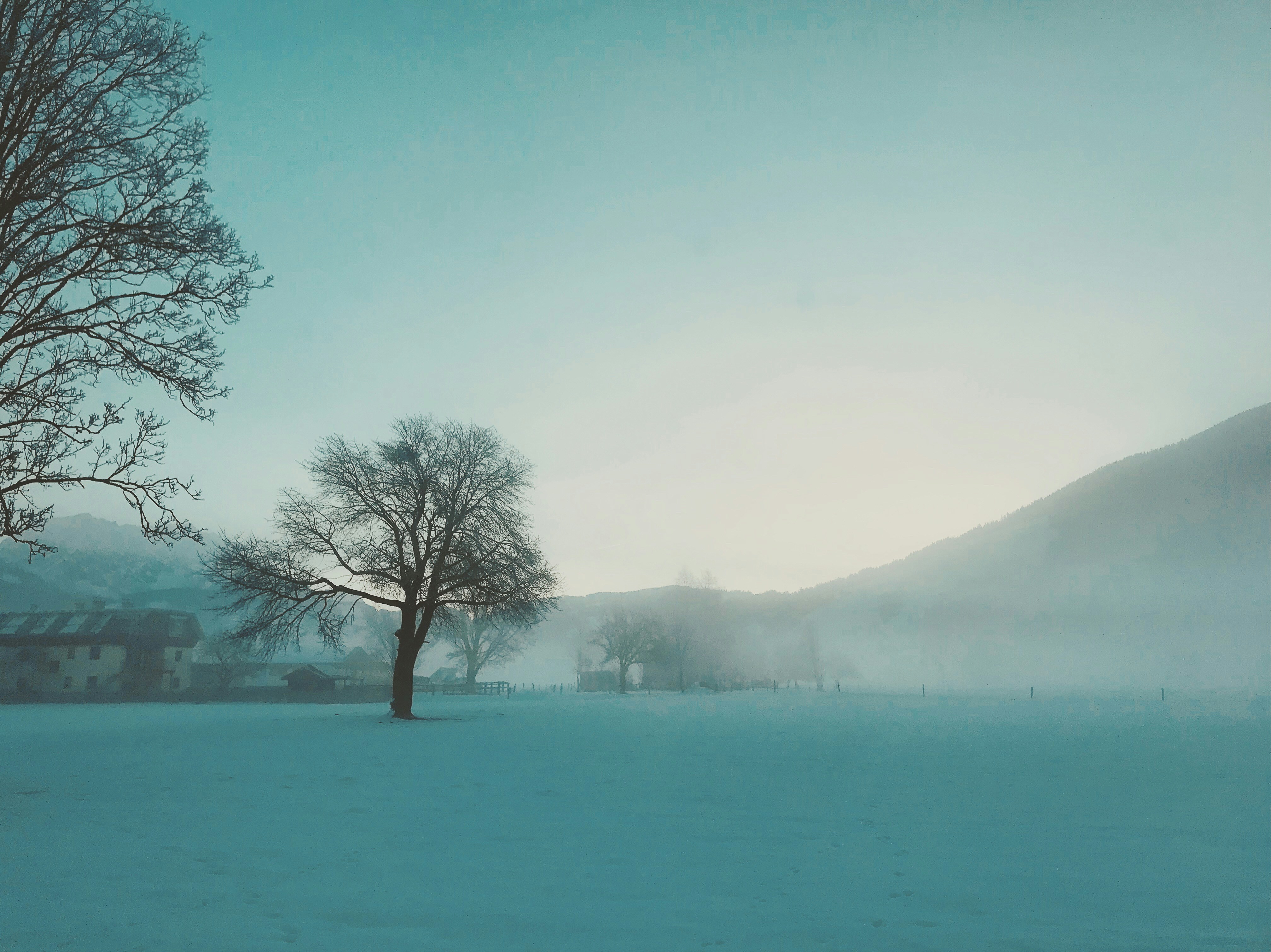 Photo by dasdasha2015