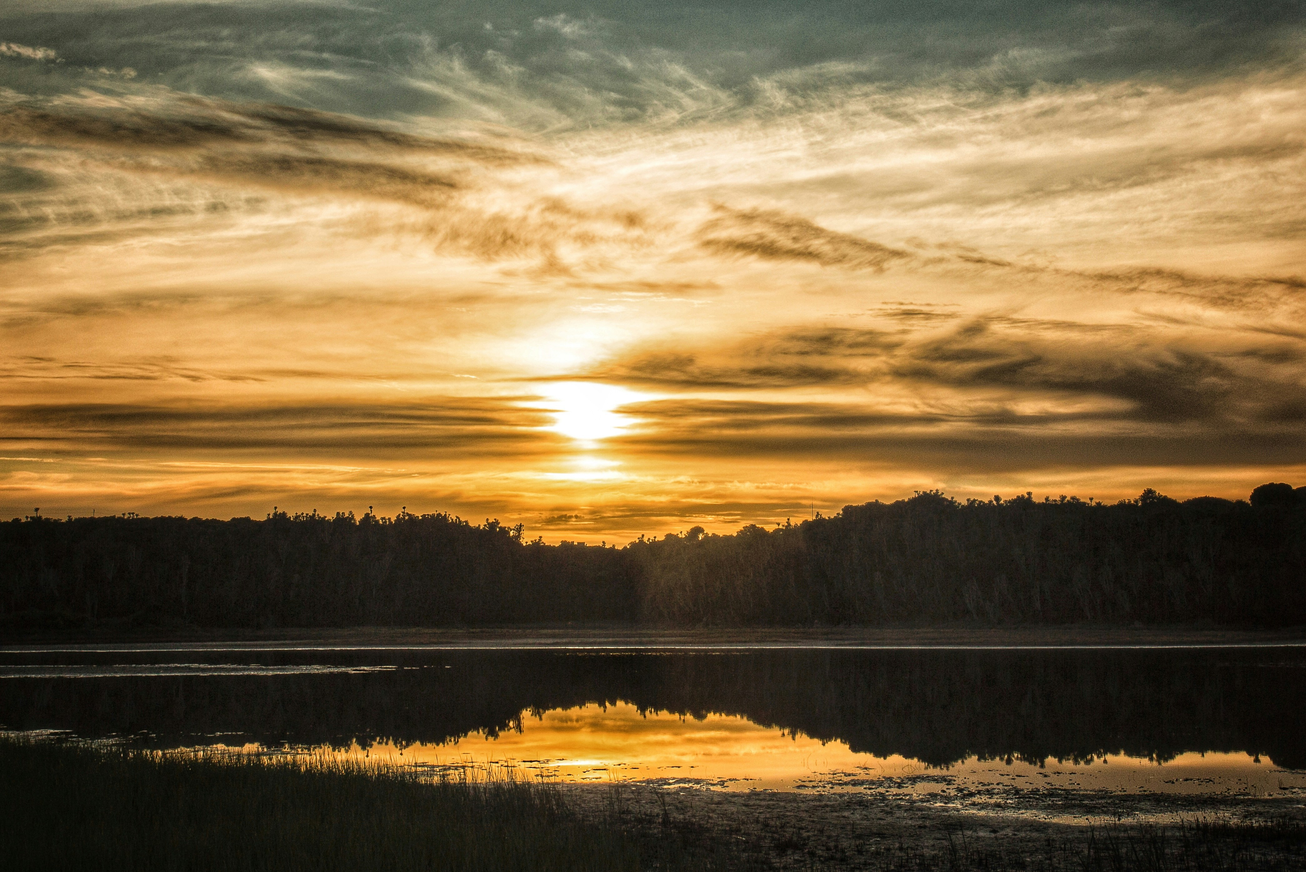 Photo by charl_durand