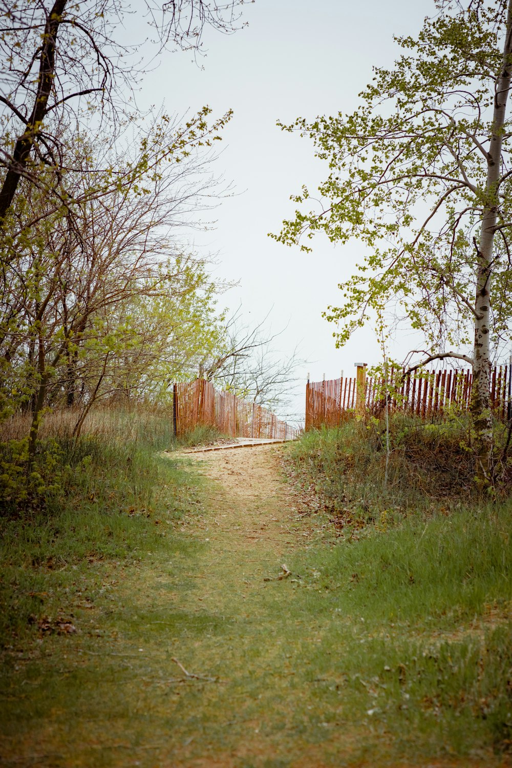 brown wooden fence near green grass field and trees during daytime
