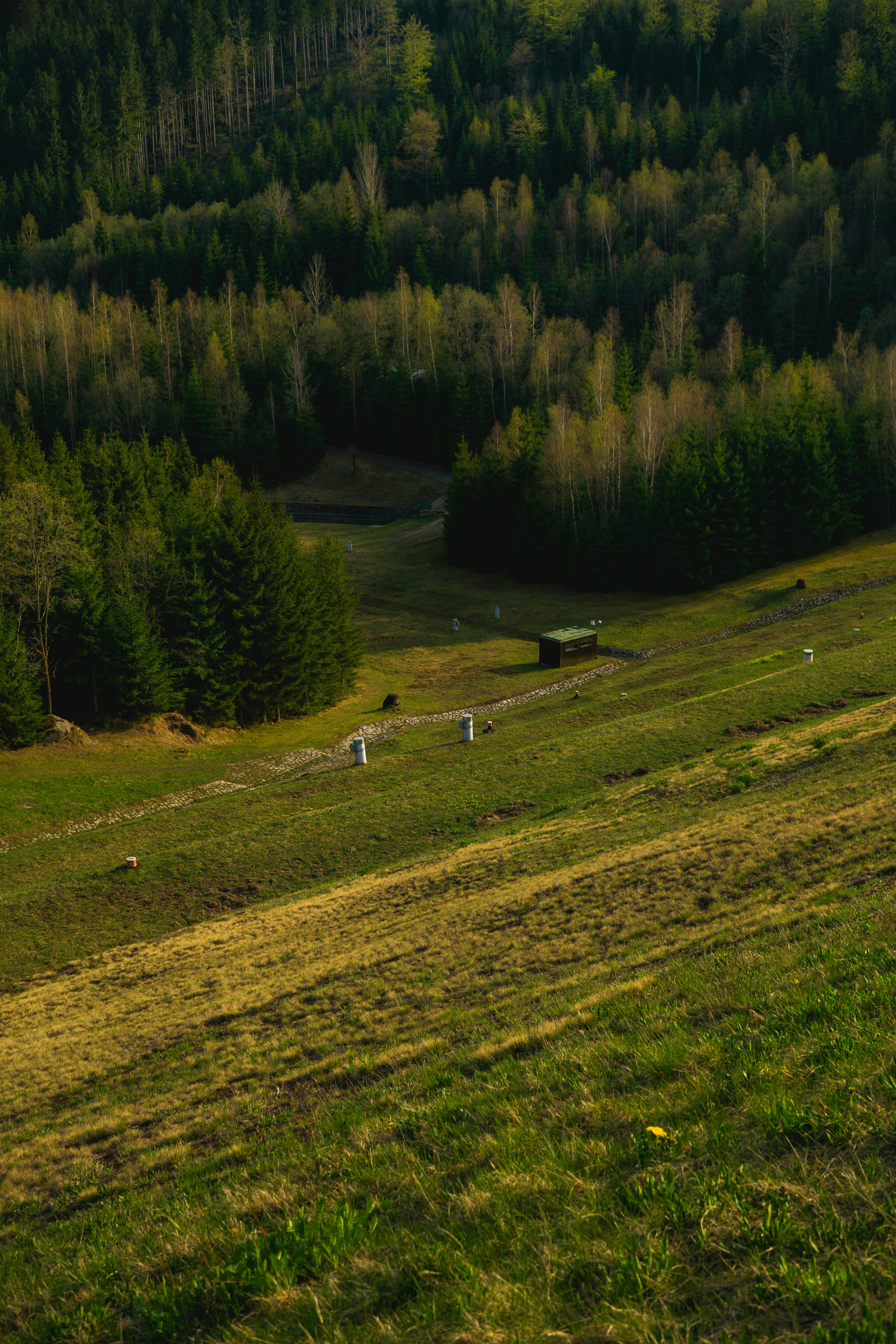 Photo by davidbenesph