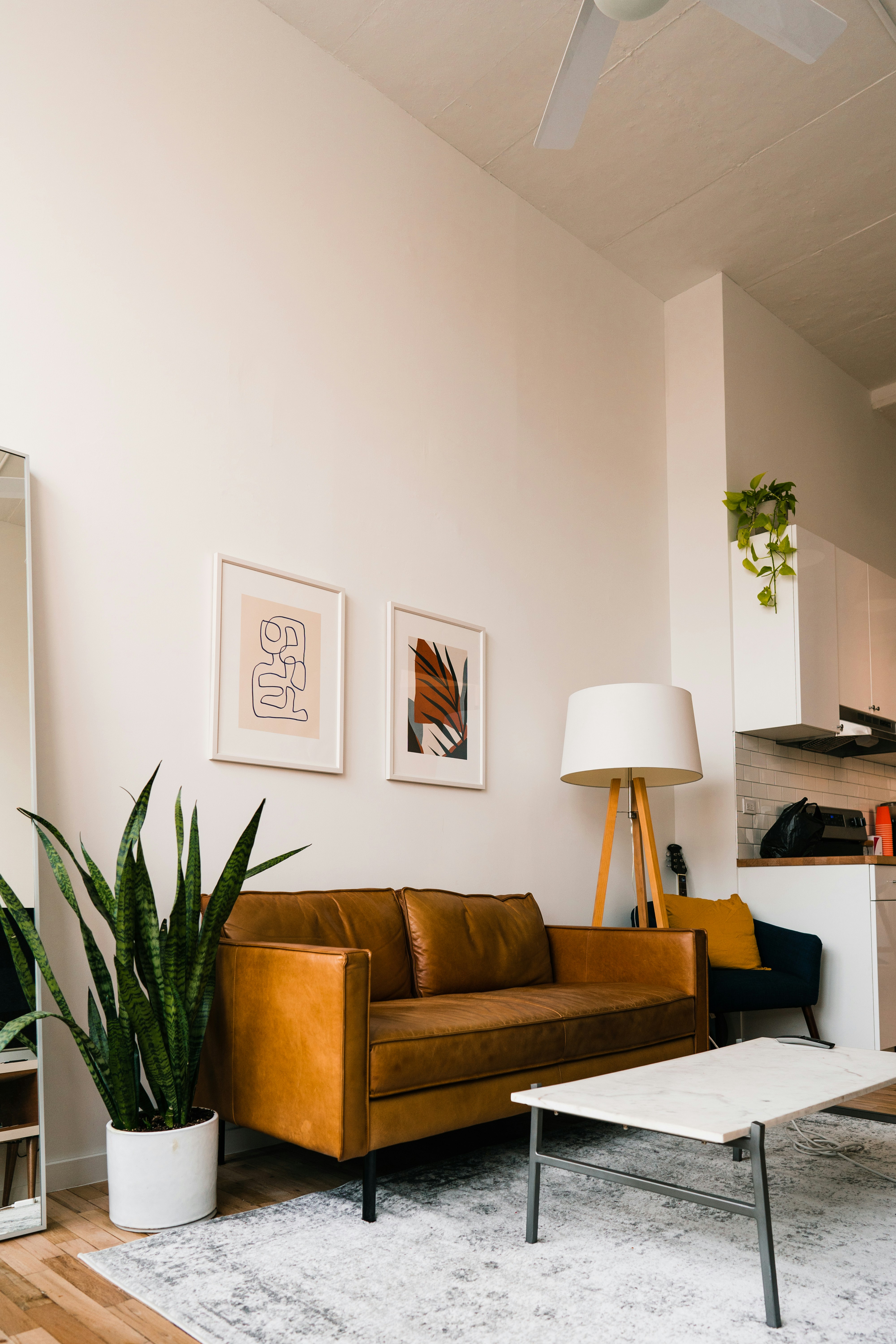 The Transformative Power of Shared Spaces