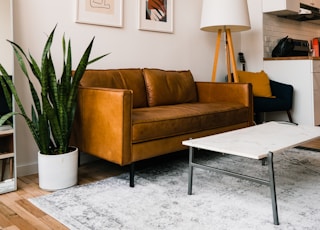 green plant on brown wooden table