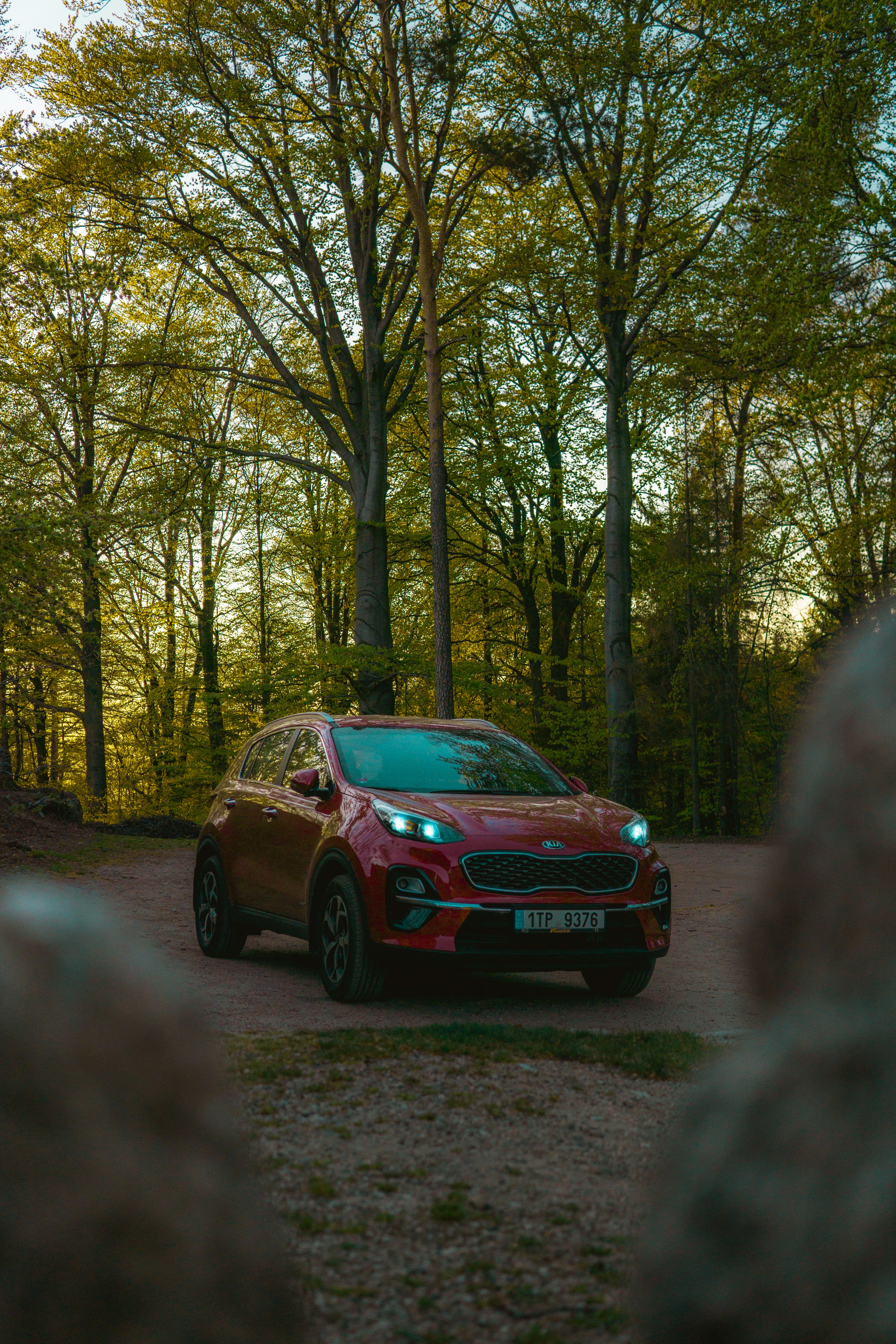 Photo by davidbenesph