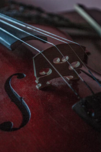 red and black violin with string