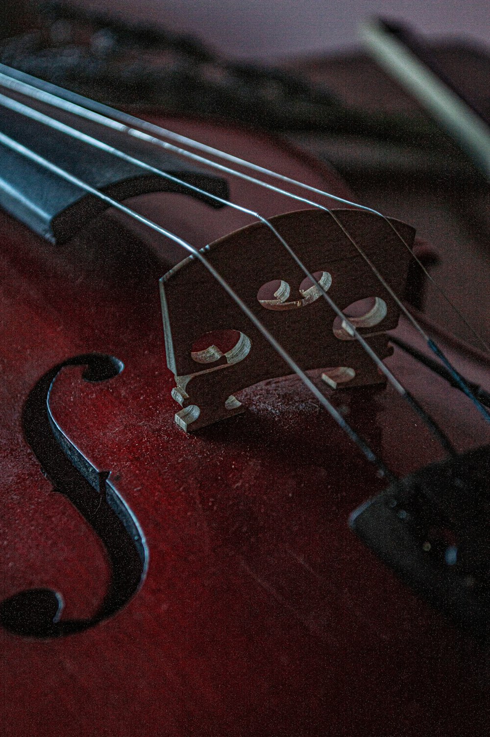 red and black violin with string