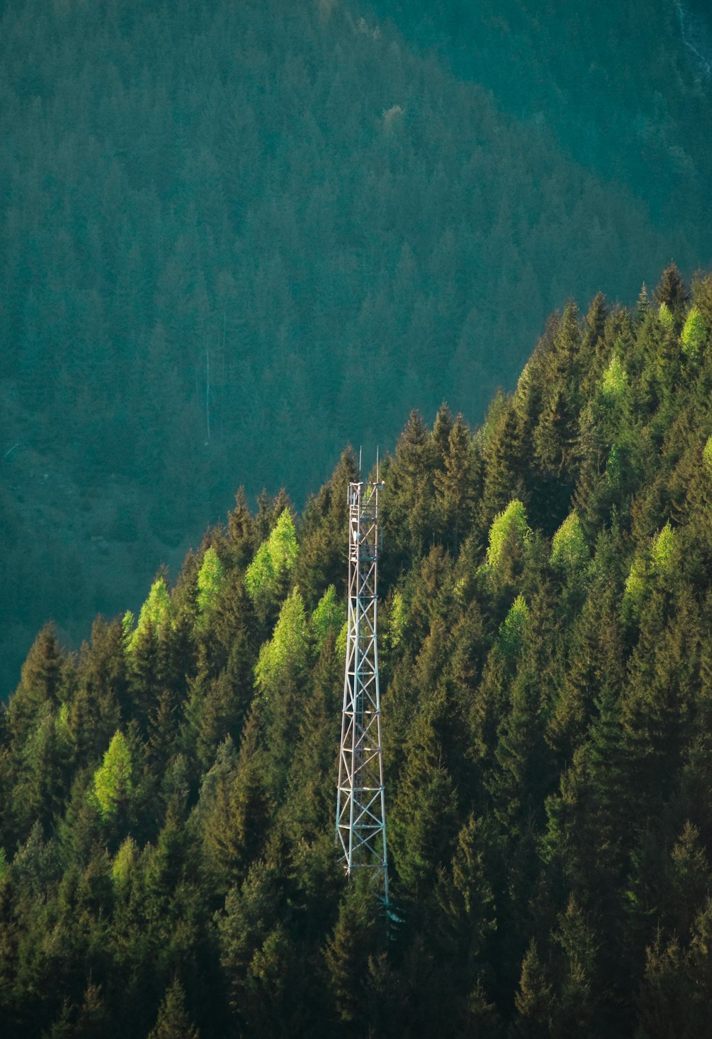 green trees on mountain during daytime