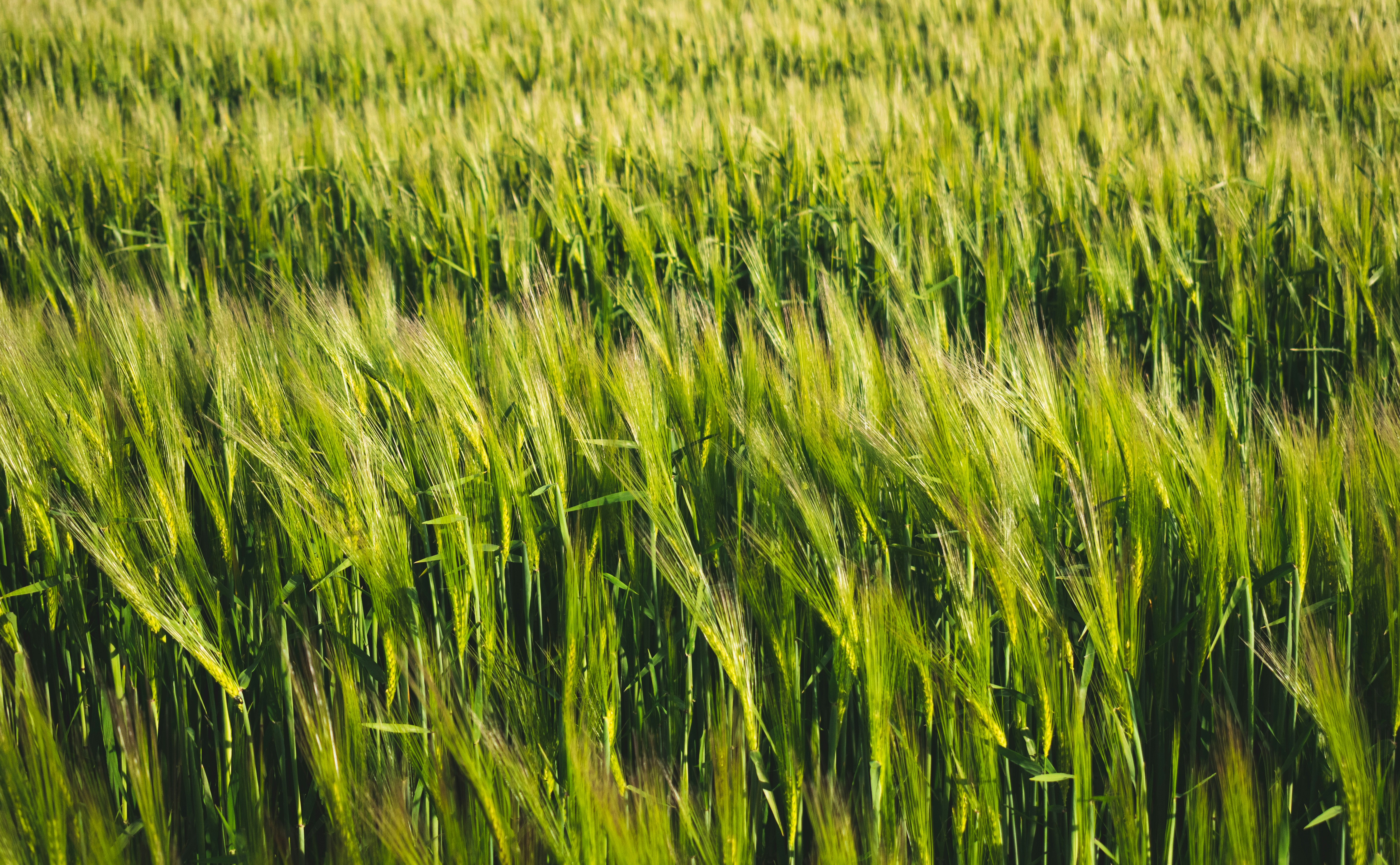 Photo by arnaudweyts