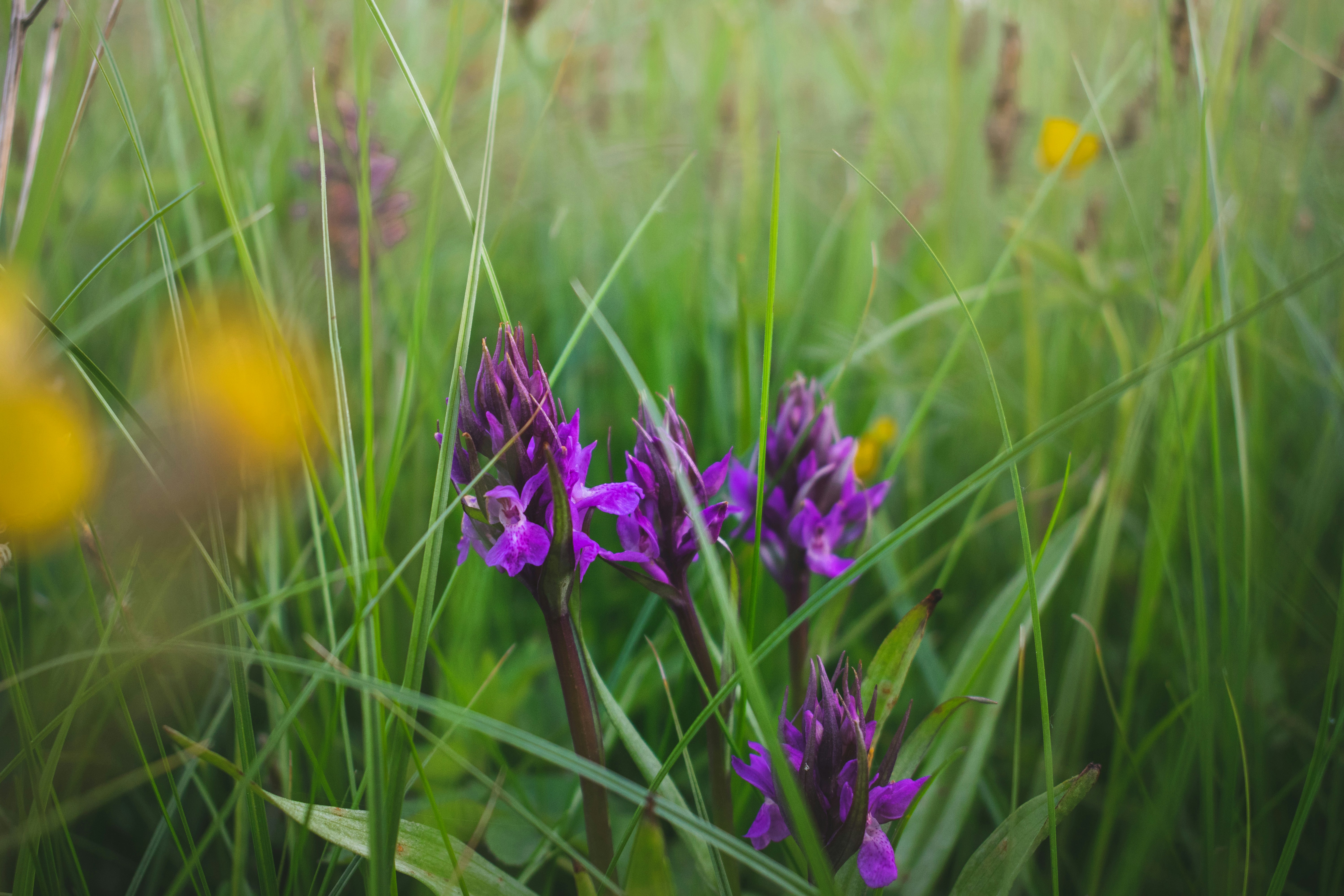 Photo by arnaudweyts