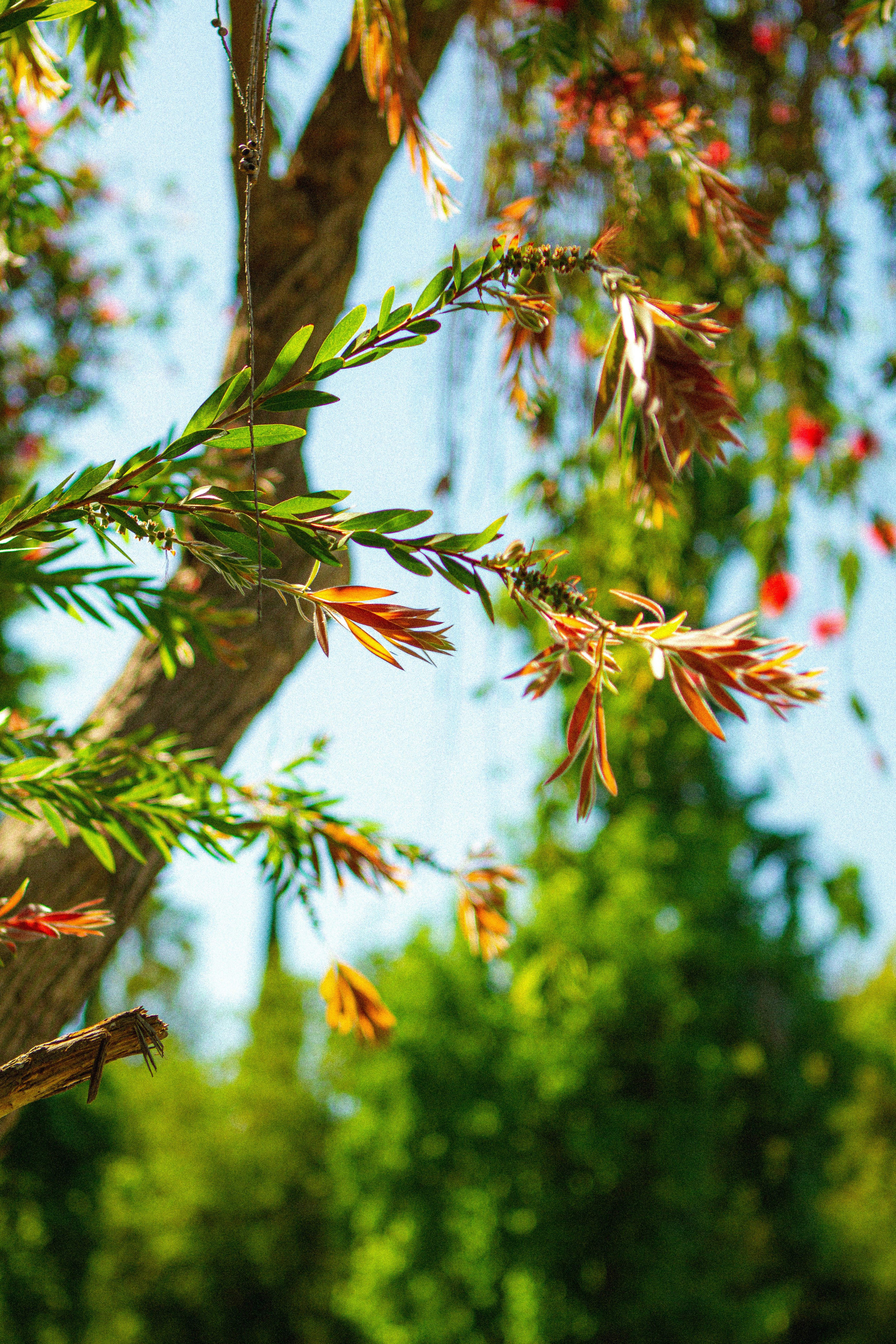 Photo by creatviejay