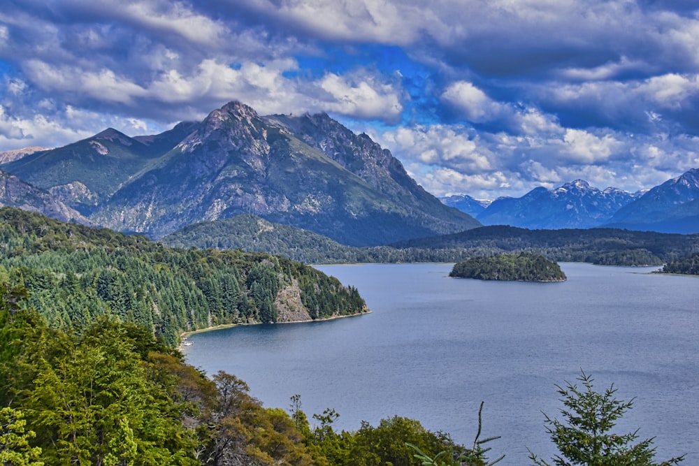 green trees near lake under blue sky and white clouds during daytime